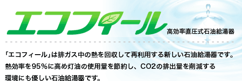 エコフィール